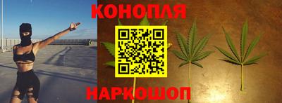 МДПВ Камышлов