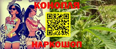 МДПВ Камышлов