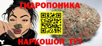 МДПВ Камышлов