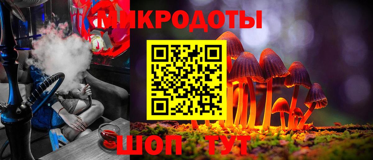 Галлюциногенные грибы Psilocybe Красноармейск