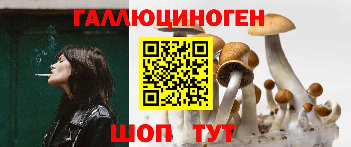 Галлюциногенные грибы прущие грибы  Вход с VPN  Красноармейск 